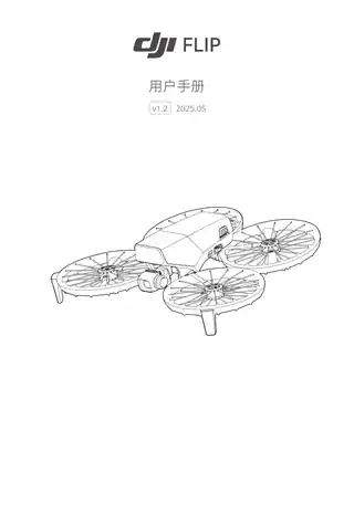 DJI大疆DJI Flip